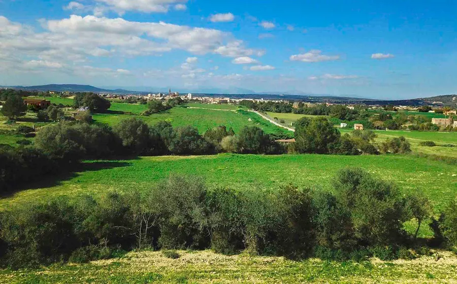 Countryside plots in Mallorca